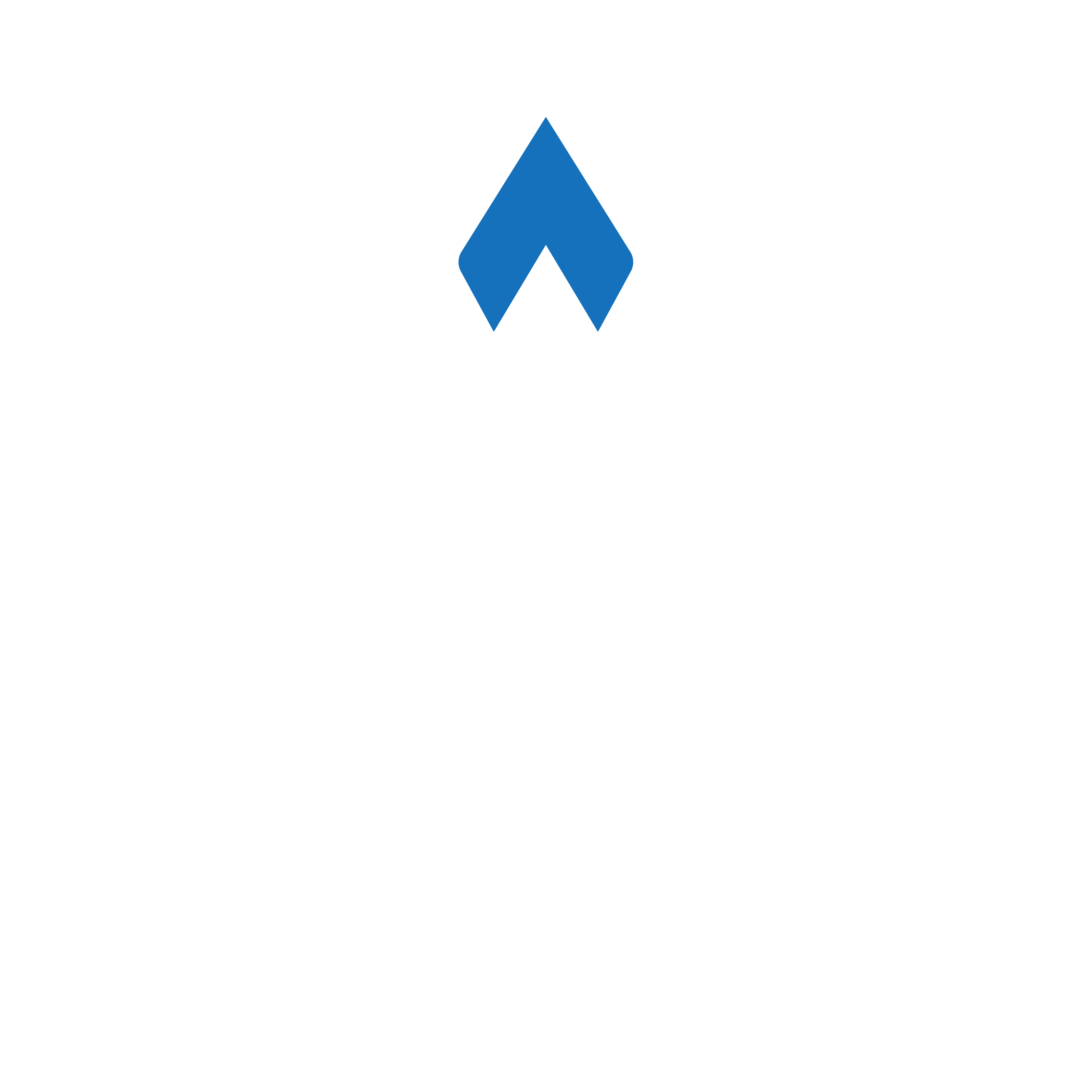 Vanguard Initiative